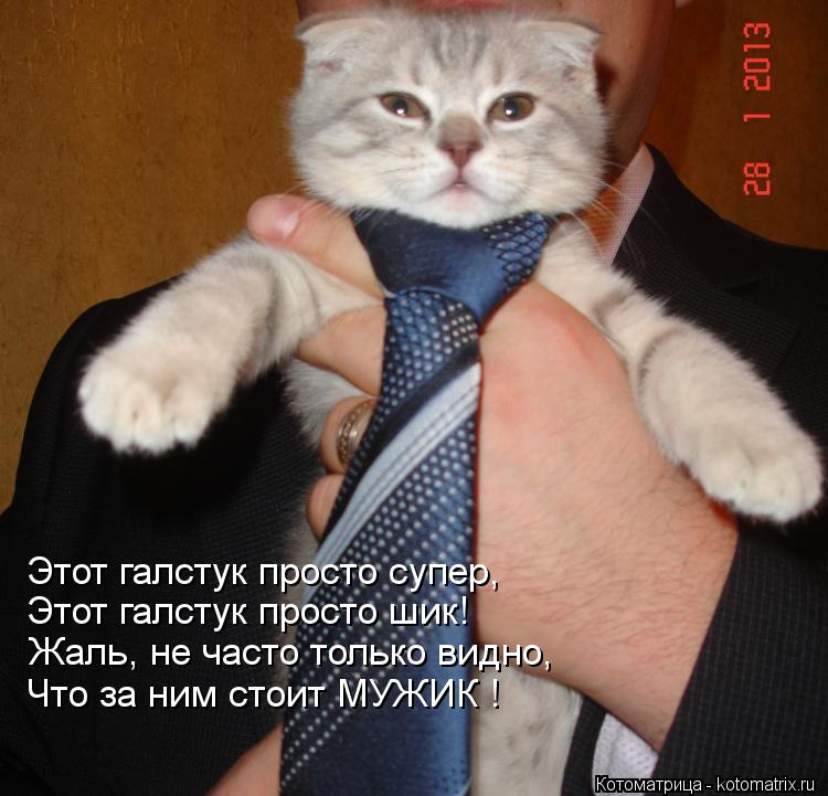Этот галстук просто супер, Этот галстук просто шик! Жаль, не часто только видно, Что за ним стоит МУЖ... Котоматрица: Этот галстук просто супер, Этот галстук просто шик! Жаль, не часто только видно, Что за ним стоит МУЖИК !