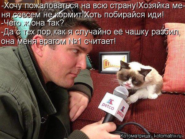 -Хочу пожаловаться на всю страну!Хозяйка ме- ня совсем не кормит!Хоть побирайся иди! -Чего ж она так?... Котоматрица: -Хочу пожаловаться на всю страну!Хозяйка ме- ня совсем не кормит!Хоть побирайся иди! -Чего ж она так? -Да с тех пор,как я случайно её чашку разб