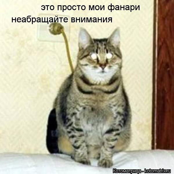 это просто мои фанари неабращайте внимания... Котоматрица: это просто мои фанари неабращайте внимания