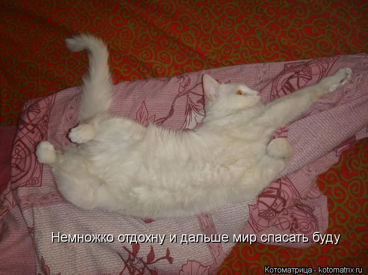 Немножко отдохну и дальше мир спасать буду... Котоматрица: Немножко отдохну и дальше мир спасать буду
