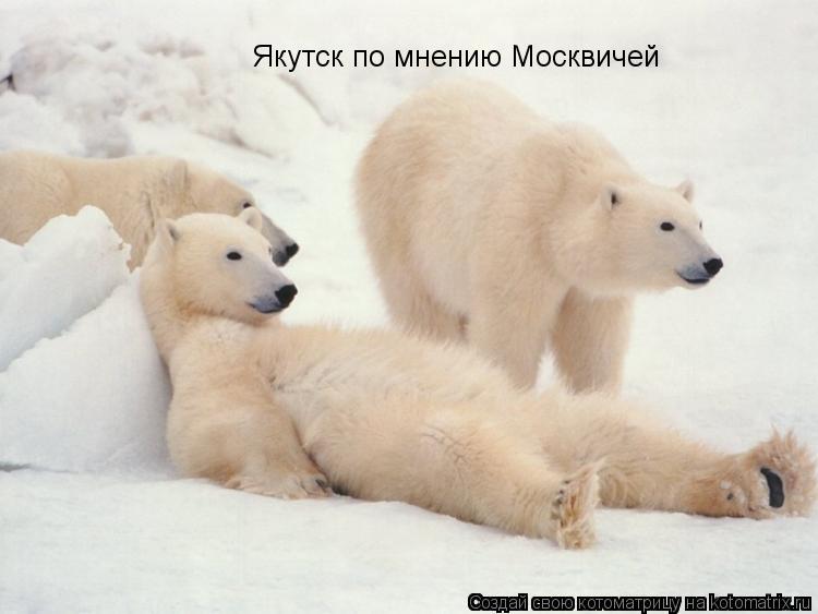 Якутск по мнению Москвичей... Котоматрица: Якутск по мнению Москвичей