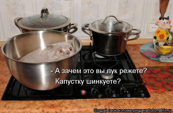 Капустку шинкуете? - А зачем это вы лук режете?... Котоматрица: Капустку шинкуете? - А зачем это вы лук режете?