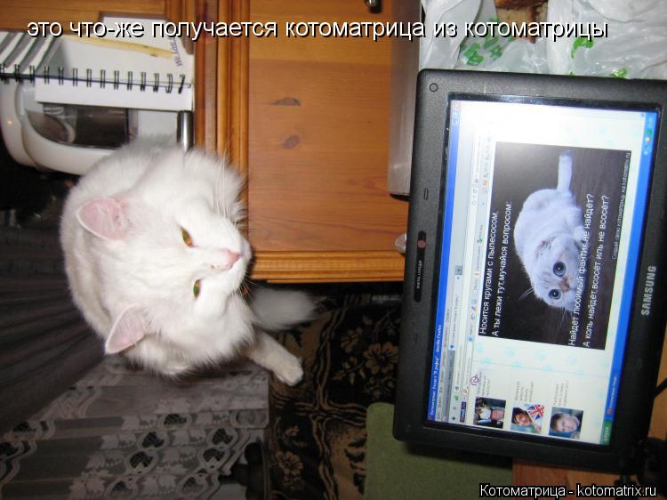 это что-же получается котоматрица из котоматрицы... Котоматрица: это что-же получается котоматрица из котоматрицы