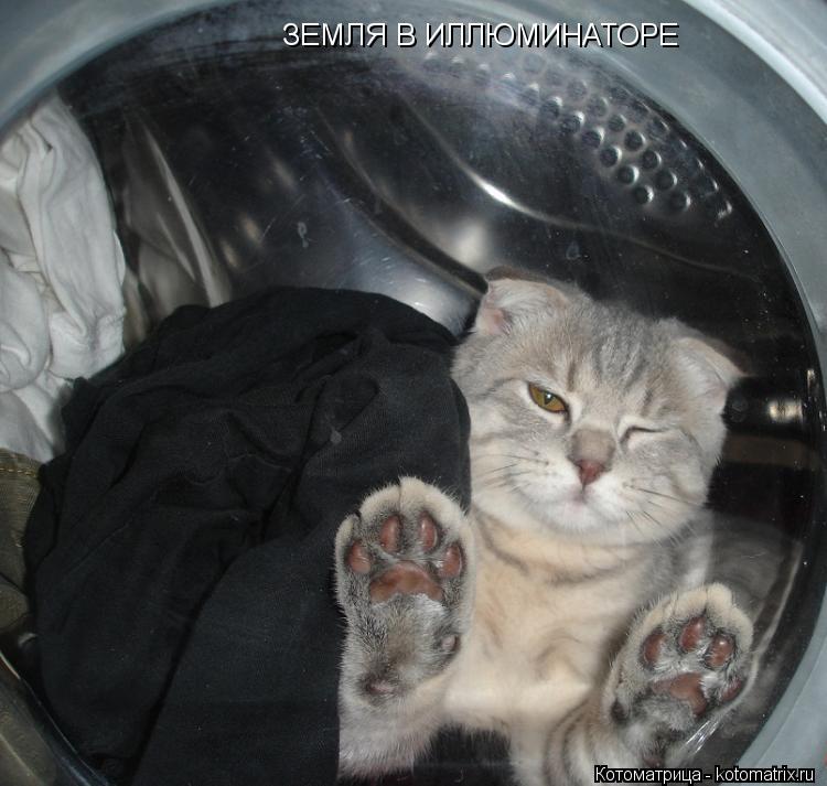 Котоматрица: ЗЕМЛЯ В ИЛЛЮМИНАТОРЕ