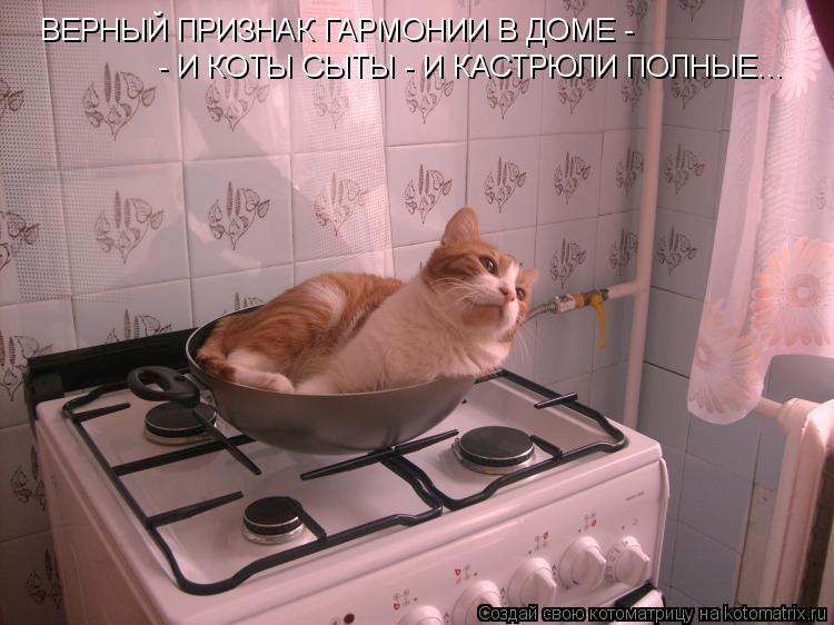 - И КОТЫ СЫТЫ - И КАСТРЮЛИ ПОЛНЫЕ... ВЕРНЫЙ ПРИЗНАК ГАРМОНИИ В ДОМЕ -... Котоматрица: - И КОТЫ СЫТЫ - И КАСТРЮЛИ ПОЛНЫЕ... ВЕРНЫЙ ПРИЗНАК ГАРМОНИИ В ДОМЕ -