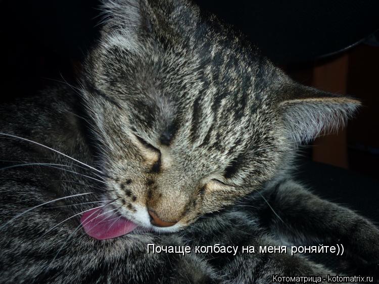 Котоматрица: Почаще колбасу на меня роняйте))