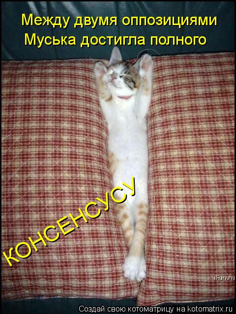 Котоматрица: Между двумя оппозициями Муська достигла полного  КОНСЕНСУСУ