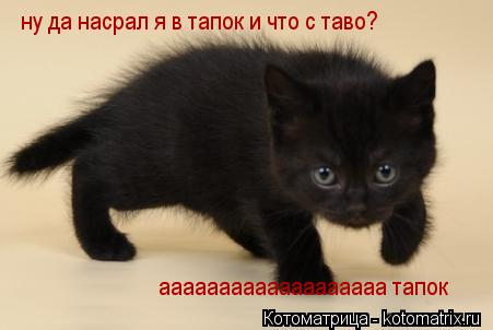 Котоматрица: ааааааааааааааааааа тапок ну да насрал я в тапок и что с таво?