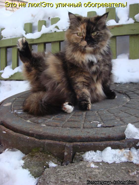 Это не люк!Это уличный обогреватель!... Котоматрица: Это не люк!Это уличный обогреватель!