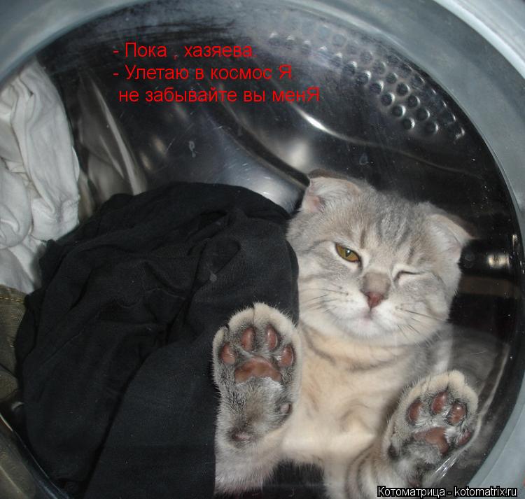 Котоматрица: - Пока , хазяева. - Улетаю в космос Я. не забывайте вы менЯ