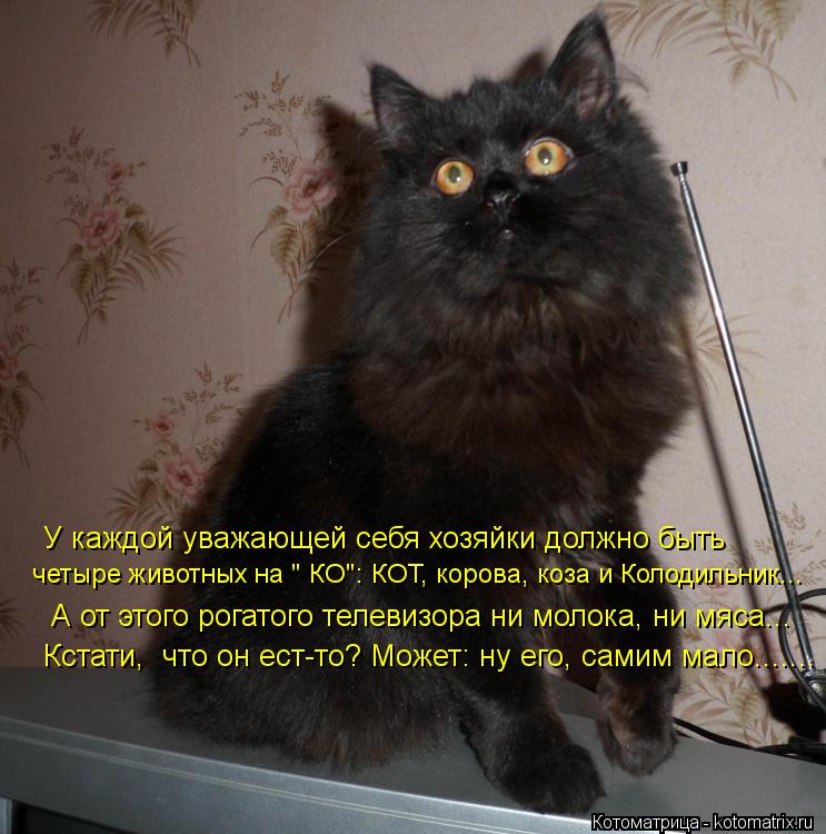 Котоматрица: У каждой уважающей себя хозяйки должно быть   четыре животных на " КО": КОТ, корова, коза и Колодильник...    Кстати,  что он ест-то? Может: ну его, 