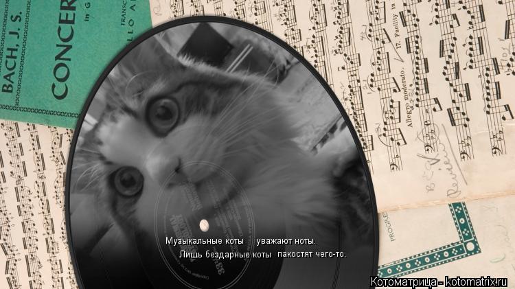 Котоматрица: уважают ноты. Лишь бездарные коты Музыкальные коты пакостят чего-то.