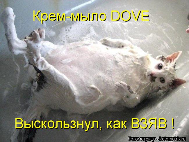 Котоматрица: Крем-мыло DOVE Выскользнул, как ВЗЯВ !