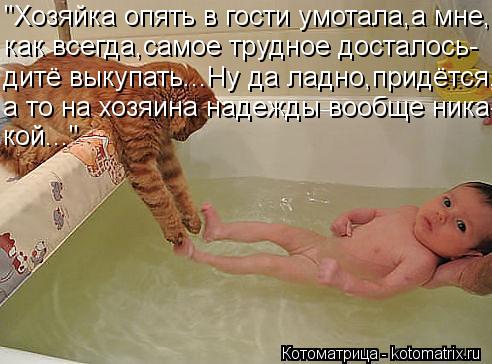 "Хозяйка опять в гости умотала,а мне, как всегда,самое трудное досталось- дитё выкупать...Ну да ладно... Котоматрица: "Хозяйка опять в гости умотала,а мне, как всегда,самое трудное досталось- дитё выкупать...Ну да ладно,придётся, а то на хозяина надежды вообще