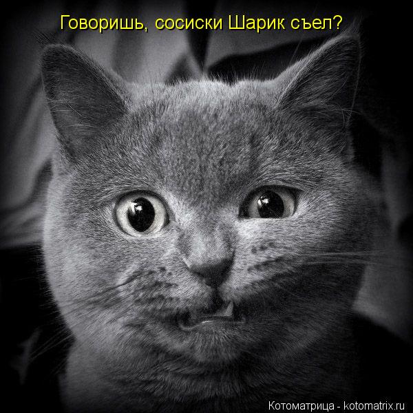 Котоматрица: Говоришь, сосиски Шарик съел?