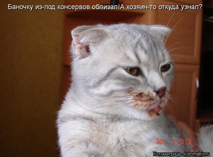 Котоматрица: Баночку из-под консервов облизал!А хозяин-то откуда узнал?