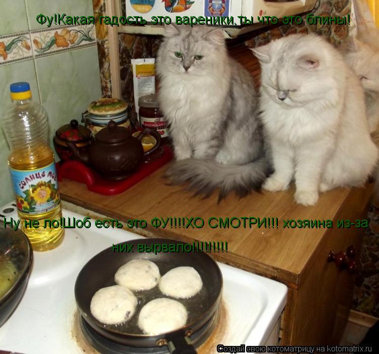Котоматрица: Фу!Какая гадость это вареники,ты что это блины! Ну не ло!Шоб есть это ФУ!!!!ХО СМОТРИ!!! хозяина из-за  них вырвало!!!!!!!!!