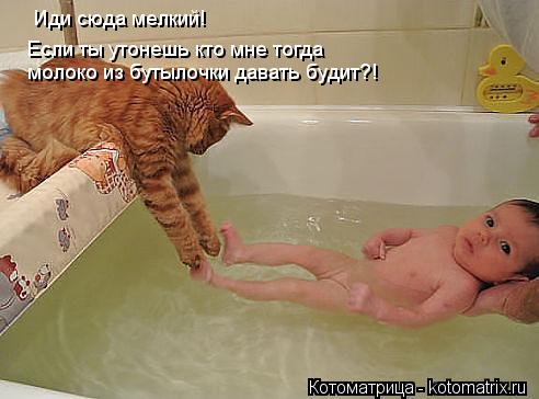 Иди сюда мелкий! Если ты утонешь кто мне тогда молоко из бутылочки давать будит?!... Котоматрица: Иди сюда мелкий! Если ты утонешь кто мне тогда молоко из бутылочки давать будит?!