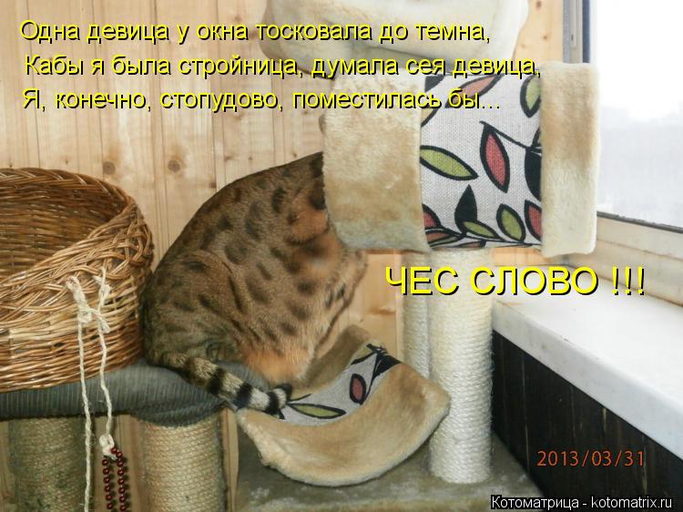 Одна девица у окна тосковала до темна, Кабы я была стройница, думала сея девица, Я, конечно, стопудов... Котоматрица: Одна девица у окна тосковала до темна, Кабы я была стройница, думала сея девица, Я, конечно, стопудово, поместилась бы... ЧЕС СЛОВО !!!