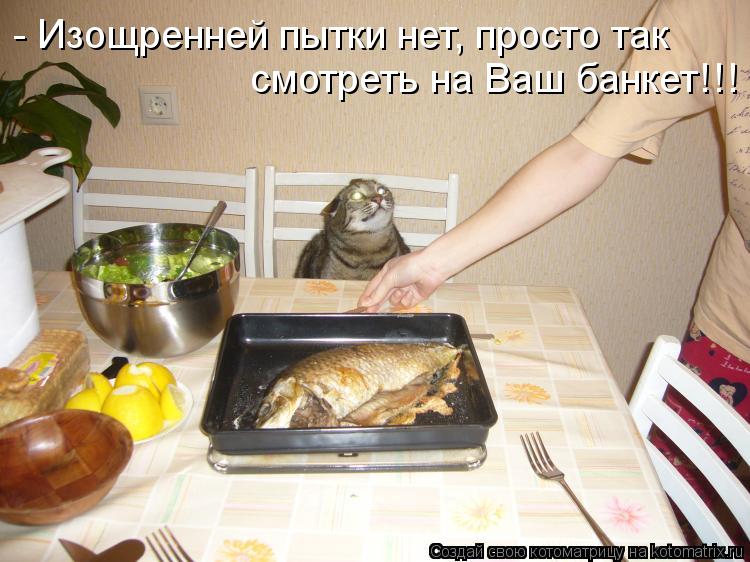 Котоматрица: - Изощренней пытки нет, просто так  смотреть на Ваш банкет!!!