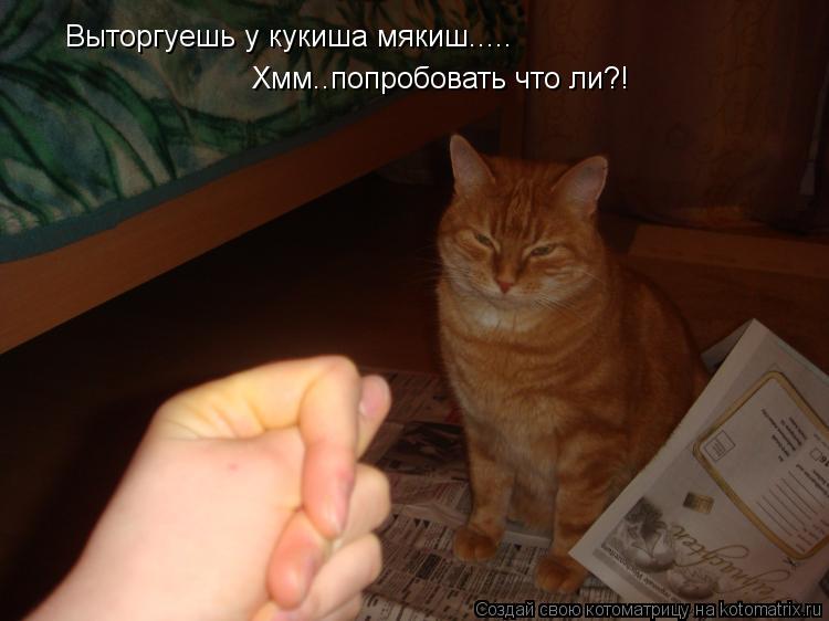 Котоматрица: Выторгуешь у кукиша мякиш..... Хмм..попробовать что ли?!