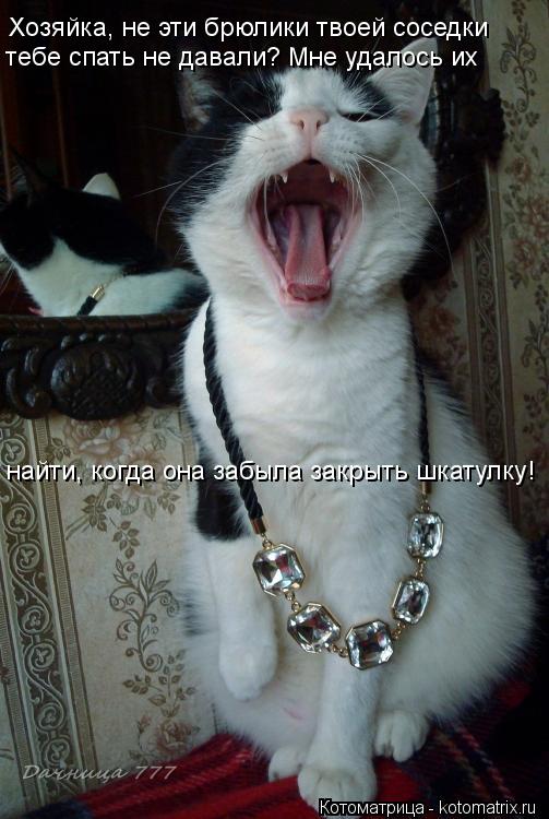 Хозяйка, не эти брюлики твоей соседки тебе спать не давали? Мне удалось их найти, когда она забыла з... Котоматрица: Хозяйка, не эти брюлики твоей соседки тебе спать не давали? Мне удалось их найти, когда она забыла закрыть шкатулку!