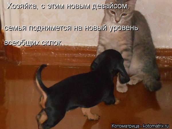 Котоматрица: Хозяйка, с этим новым девайсом,  всеобщих склок семья поднимется на новый уровень