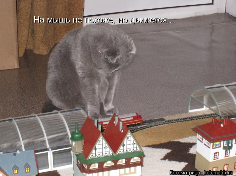Котоматрица: На мышь не похоже, но движется...