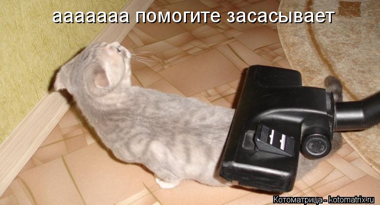 ааааааа помогите засасывает... Котоматрица: ааааааа помогите засасывает