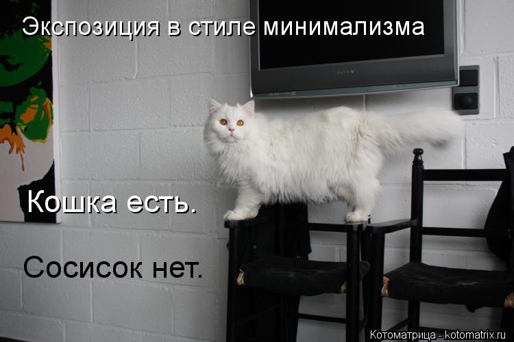 Кошка есть. Сосисок нет. Экспозиция в стиле минимализма... Котоматрица: Кошка есть. Сосисок нет. Экспозиция в стиле минимализма