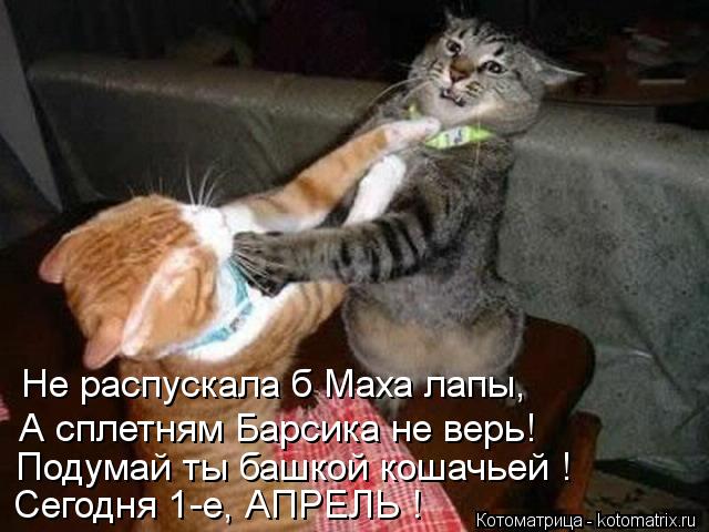 Не распускала б Маха лапы, А сплетням Барсика не верь! Подумай ты башкой кошачьей ! Сегодня 1-е, АПРЕ... Котоматрица: Не распускала б Маха лапы, А сплетням Барсика не верь! Подумай ты башкой кошачьей ! Сегодня 1-е, АПРЕЛЬ !