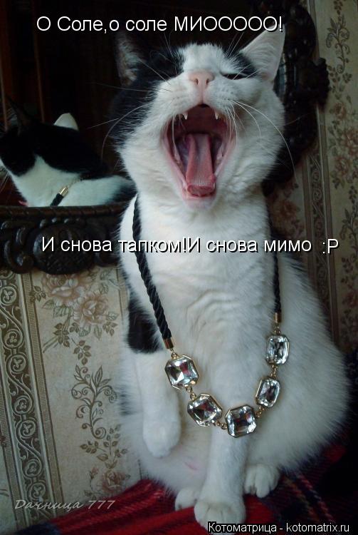 О Соле,о соле МИООООО! И снова тапком!И снова мимо :P... Котоматрица: О Соле,о соле МИООООО! И снова тапком!И снова мимо :P