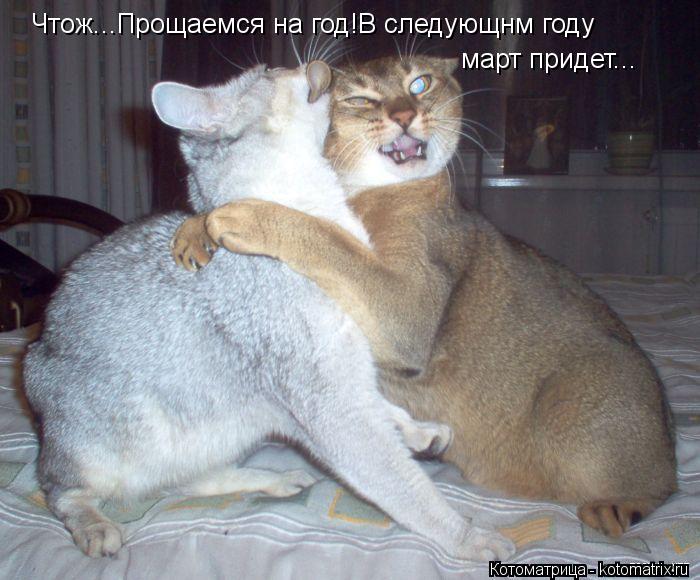 Чтож...Прощаемся на год!В следующнм году март придет...... Котоматрица: Чтож...Прощаемся на год!В следующнм году март придет...