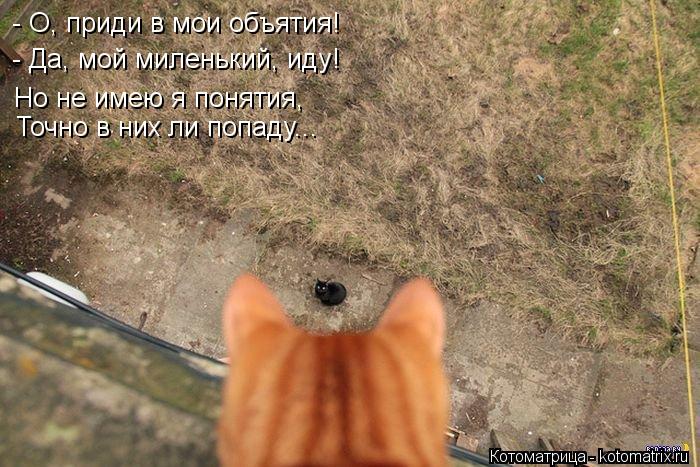 - О, приди в мои объятия! - Да, мой миленький, иду! Но не имею я понятия, Точно в них ли попаду...... Котоматрица: - О, приди в мои объятия! - Да, мой миленький, иду! Но не имею я понятия, Точно в них ли попаду...