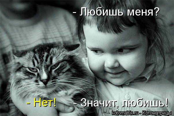 Котоматрица: - Любишь меня? - Нет! - Значит, любишь!