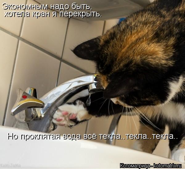 Экономным надо быть, хотела кран я перекрыть. Но проклятая вода всё текла..текла..текла..... Котоматрица: Экономным надо быть, хотела кран я перекрыть. Но проклятая вода всё текла..текла..текла..