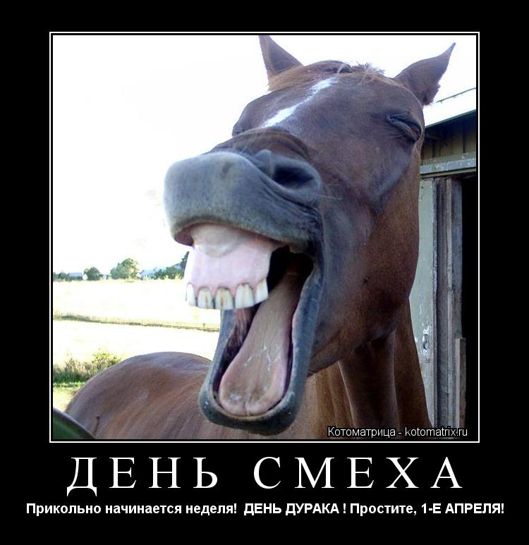 Котоматрица: ДЕНЬ СМЕХА Прикольно начинается неделя!  ДЕНЬ ДУРАКА ! Простите, 1-Е АПРЕЛЯ!