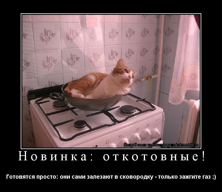 Новинка: откотовные! Готовятся просто: они сами залезают в сковородку - только зажгите газ ;)... Котоматрица: Новинка: откотовные! Готовятся просто: они сами залезают в сковородку - только зажгите газ ;)