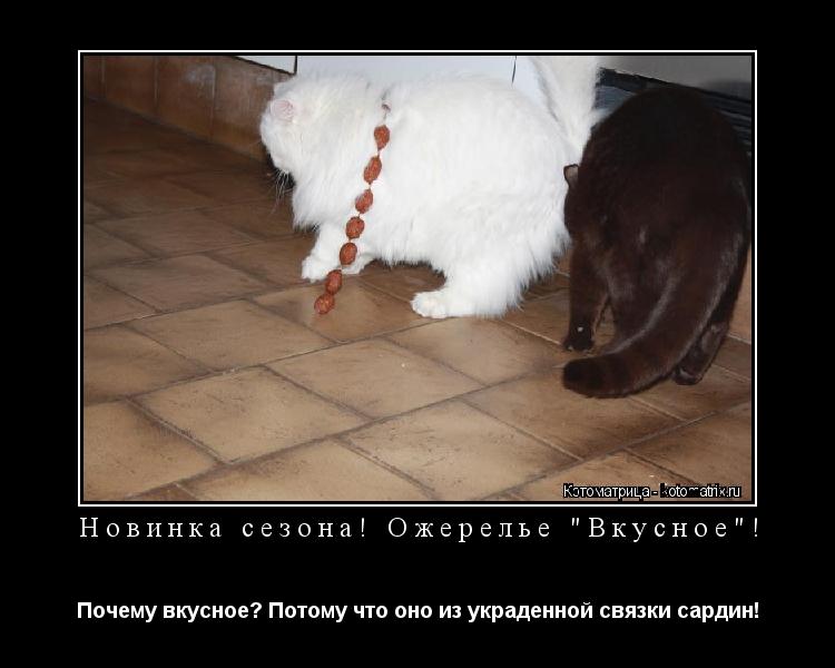 Новинка сезона! Ожерелье "Вкусное"! Почему вкусное? Потому что оно из украденной связки сардин!... Котоматрица: Новинка сезона! Ожерелье "Вкусное"! Почему вкусное? Потому что оно из украденной связки сардин!