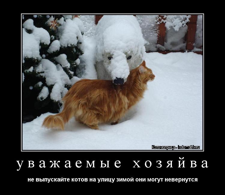Котоматрица: уважаемые хозяйва не выпускайте котов на улицу зимой они могут невернутся