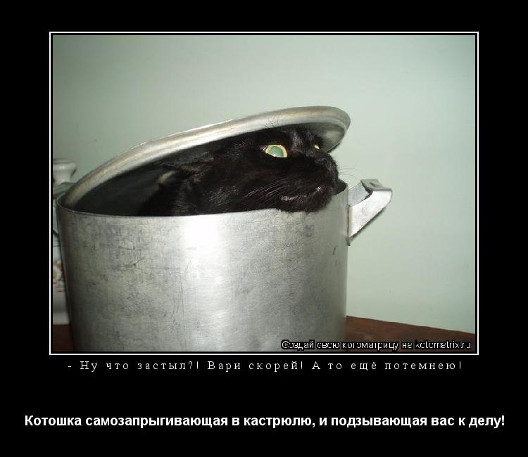 Котоматрица: - Ну что застыл?! Вари скорей! А то ещё потемнею! Котошка самозапрыгивающая в кастрюлю, и подзывающая вас к делу!