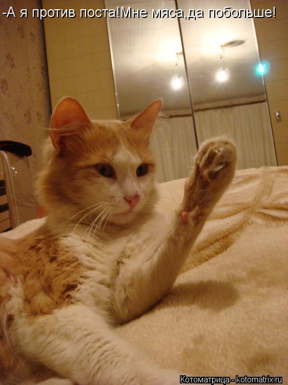 Котоматрица: -А я против поста!Мне мяса,да побольше!