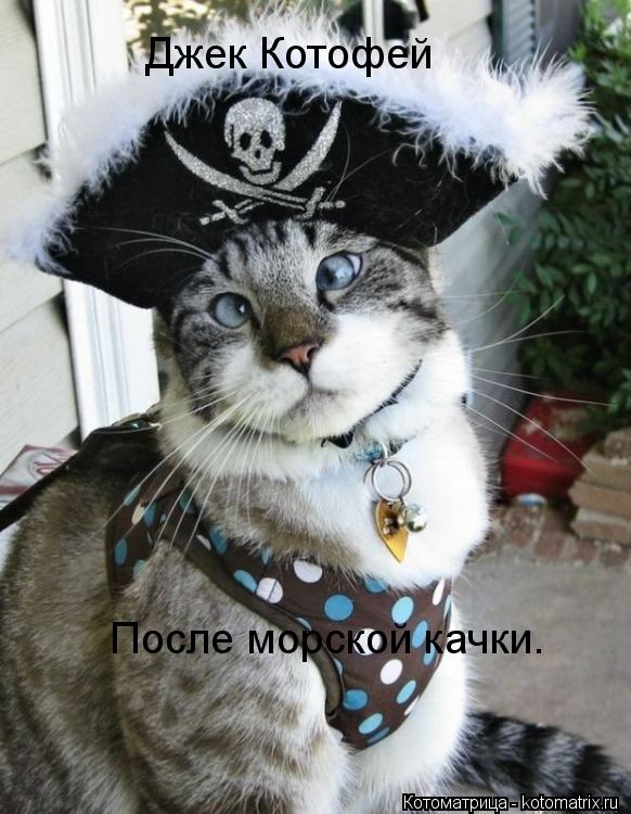 Котоматрица: Джек Котофей После морской качки.