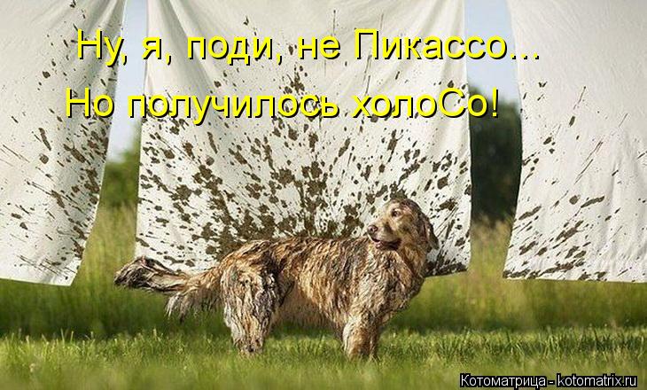 Котоматрица: Ну, я, поди, не Пикассо... Но получилось холоСо!