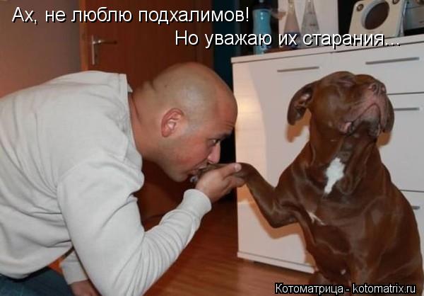 Котоматрица: Ах, не люблю подхалимов! Но уважаю их старания...