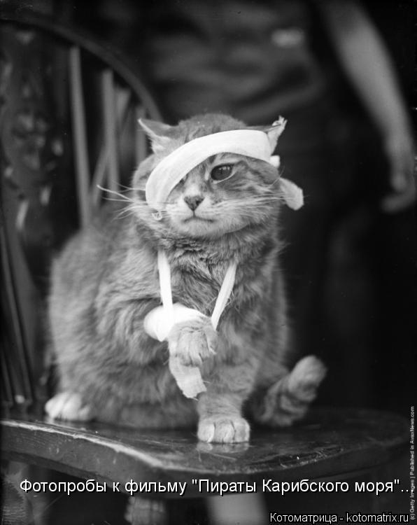 Фотопробы к фильму "Пираты Карибского моря"...... Котоматрица: Фотопробы к фильму "Пираты Карибского моря"...