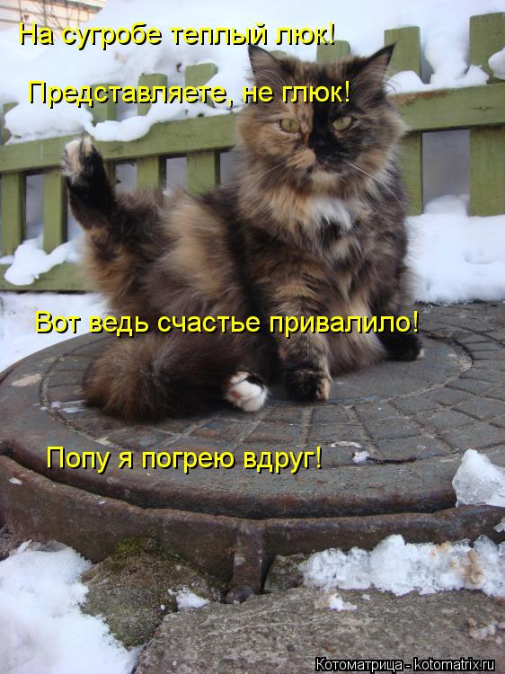 На сугробе теплый люк! Представляете, не глюк! Вот ведь счастье привалило! Попу я погрею вдруг!... Котоматрица: На сугробе теплый люк! Представляете, не глюк! Вот ведь счастье привалило! Попу я погрею вдруг!