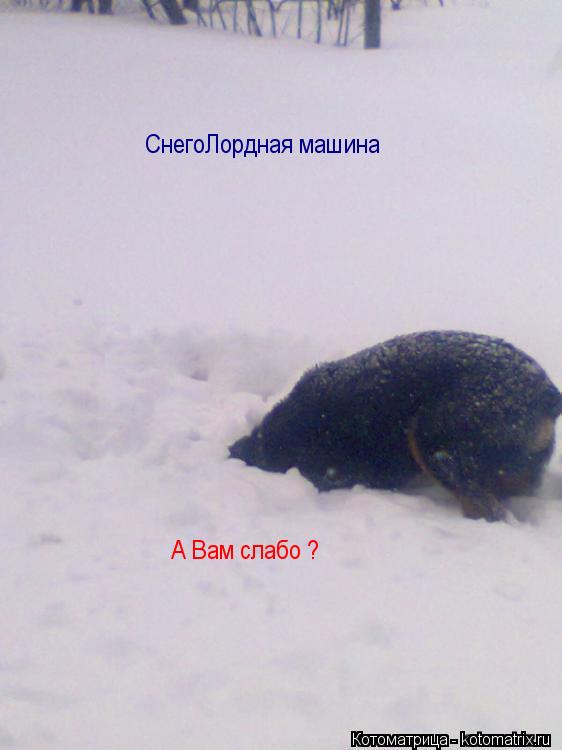 Котоматрица: СнегоЛордная машина А Вам слабо ?