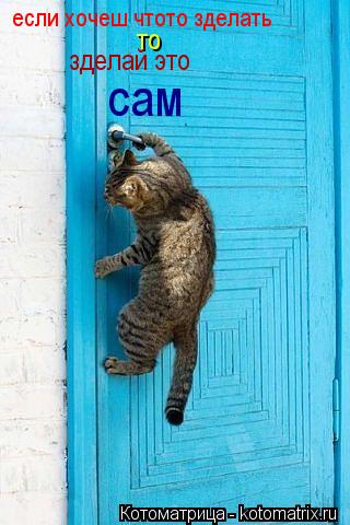 Котоматрица: если хочеш чтото зделать то зделай это  сам