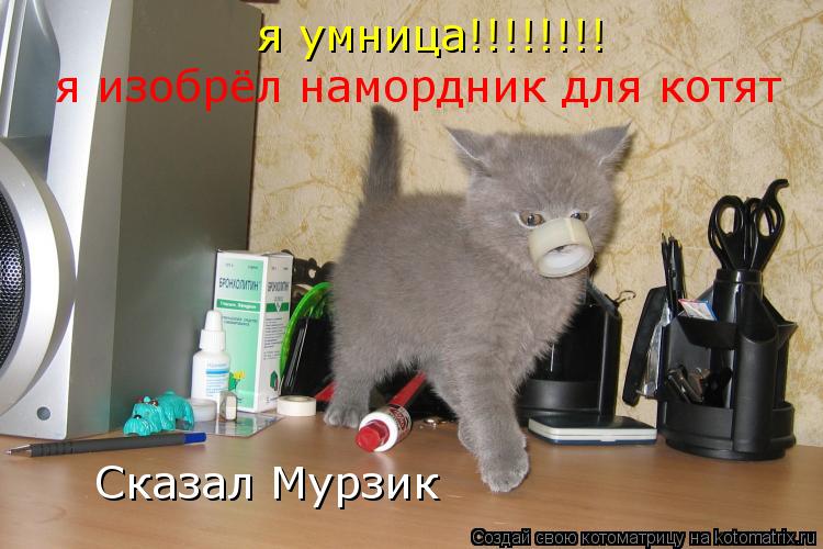 Котоматрица: я умница!!!!!!!! я изобрёл намордник для котят Сказал Мурзик